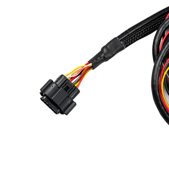 NanoPRO LSU4.9 Harness