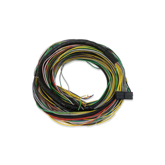 FT250/300/350/400 MAIN HARNESS
