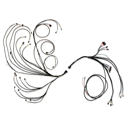 FT600 PRO V8 Complete Harness (PRO600)