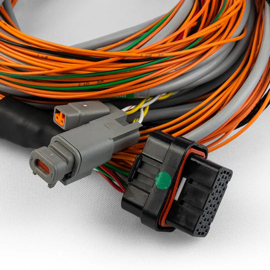 FT Input Expander Harness 10ft